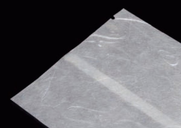 画像2: 福助工業 バリアー性 レーヨン雲龍 合掌袋 合掌GU No.10A1 1ケース4,000枚入り (2)