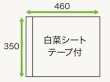 画像2: ホリックス 白菜シート(テープ付き) 1ケース4,000枚入り (2)
