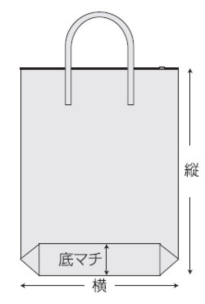 酒井化学工業 保冷袋 ミナクールパック C6R 折込袋タイプ (レールファスナー、提げ手付き) Mサイズ 1ケース50枚入り ※個人宅別途送料