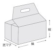 画像3: 酒井化学工業 保冷袋 ミナクールパック CH6 角底 箱型タイプ 中サイズ 1ケース100枚入り ※個人宅配送不可 (3)