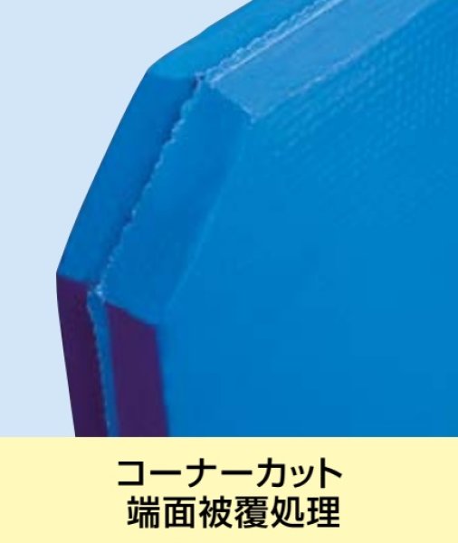 酒井化学工業 トラック用緩衝ボード ミナスペーサー 隙間梅太郎 TB2023 (厚み20mm サイズ:1100×2300mm) 10枚セット  ※個人宅別途送料