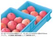 画像2: 三甲株式会社(サンコー) サンボックス #25C-B ※個人宅追加送料・出荷単位(5個)未満別途送料 (2)